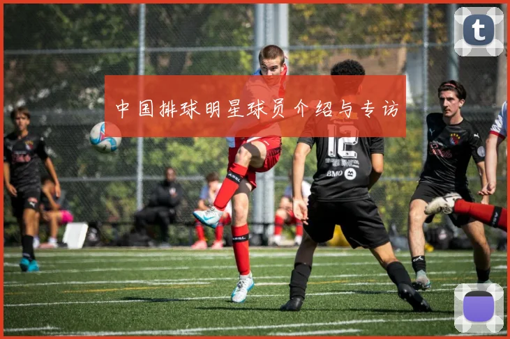 中国排球明星球员介绍与专访